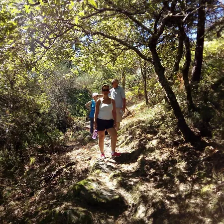 Casa Do Largo Do Cruzeiro Igarei